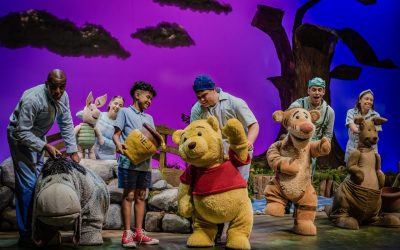 Winnie the Pooh - The New Musical