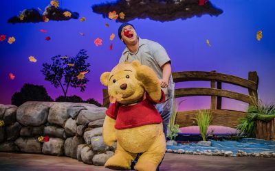 Winnie the Pooh - The New Musical